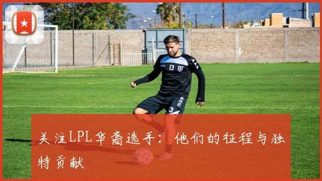 关注LPL华裔选手：他们的征程与独特贡献